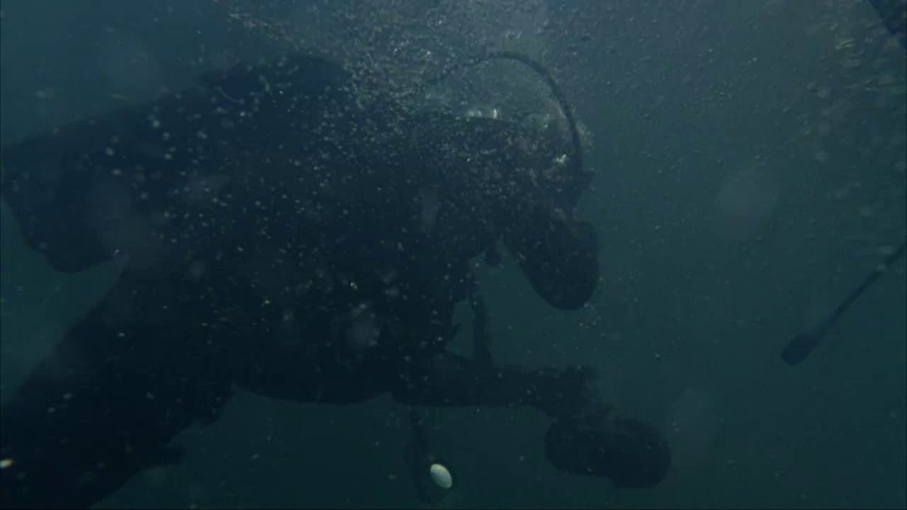 Shark Zone (2003) WEB-DL Hin + Eng + Tam + Tel 720p AVC AAC 2.0.mkv.0004